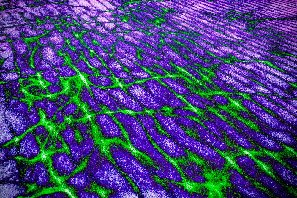Abstract purple and green textured background