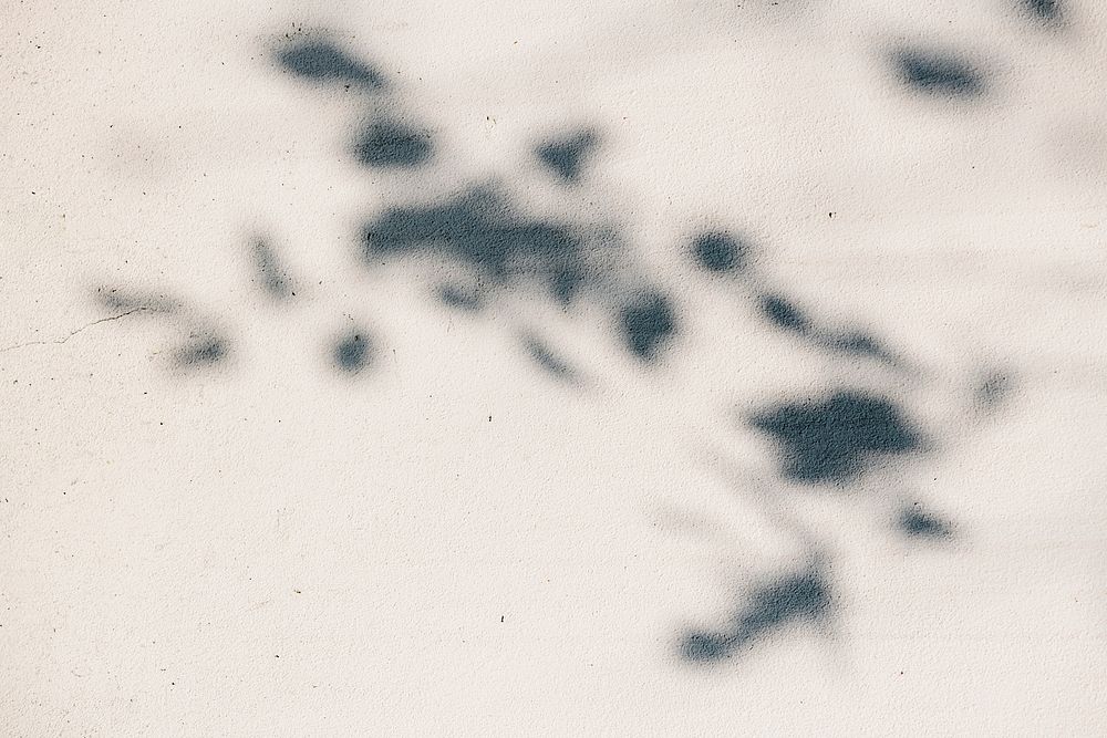 Leaves shadow on a rustic concrete textured background