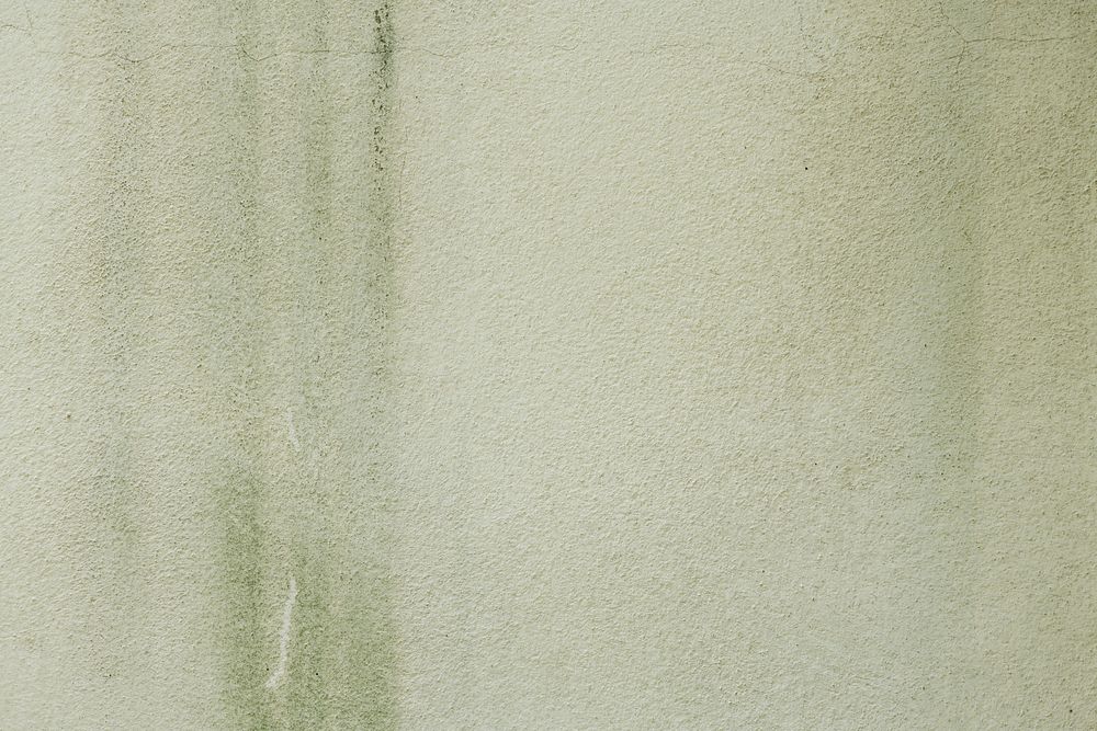 Lichen wall concrete textured background