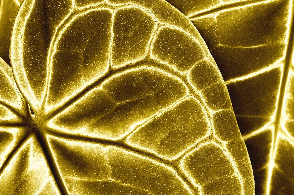 Golden shiny leaves textured background