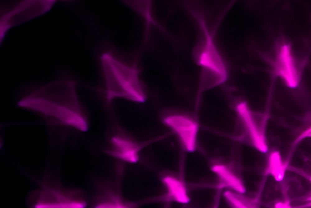 Purple light effect on black background