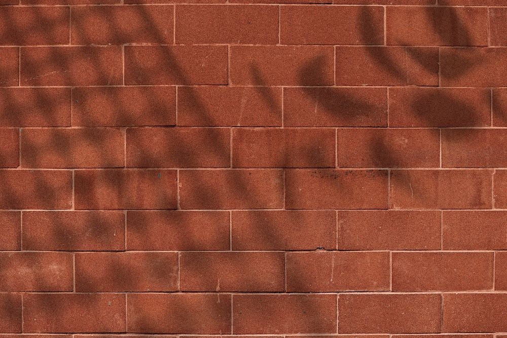 Leaves shadow on a brick wall
