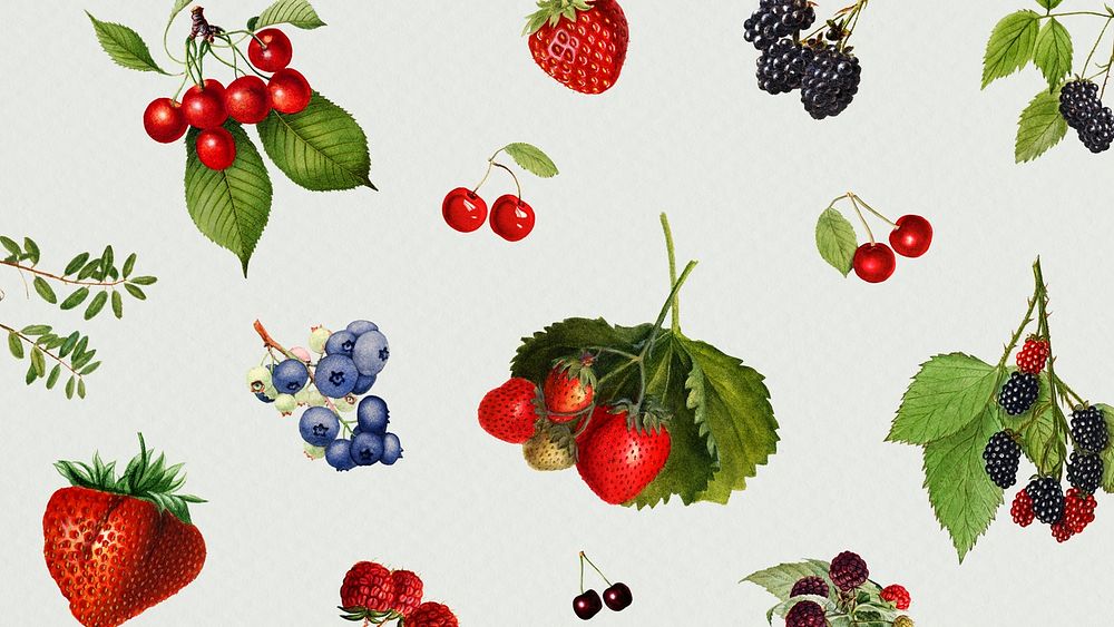 Hand drawn mixed berries on a gray background illustration