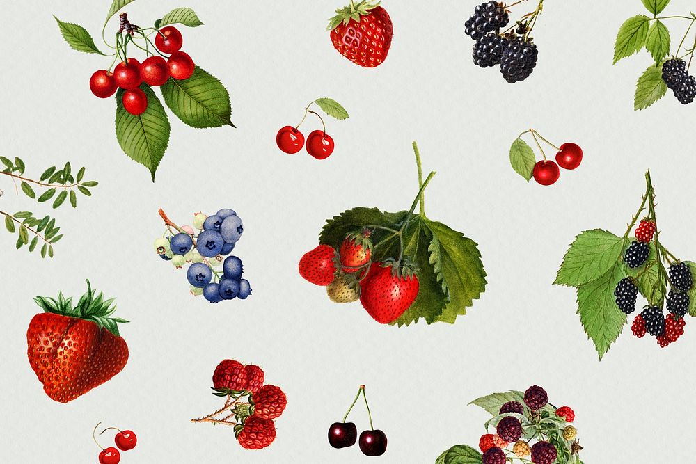 Hand drawn mixed berries on a gray background illustration