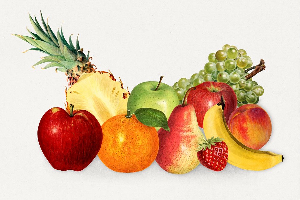 Hand drawn mixed tropical fruits illustration