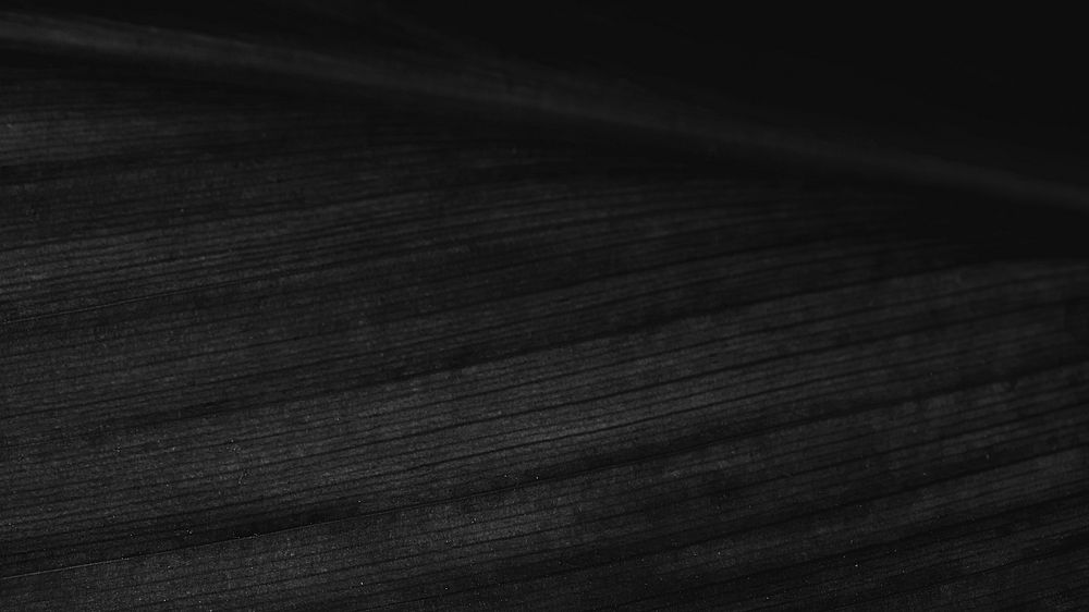 Black leaf HD desktop wallpaper, dark background