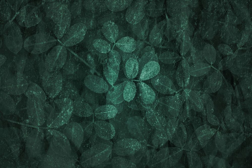 Dark green leaf pattern textured backdrop