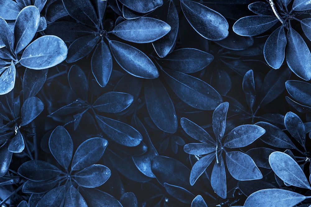 Leafy plant patterned blue background