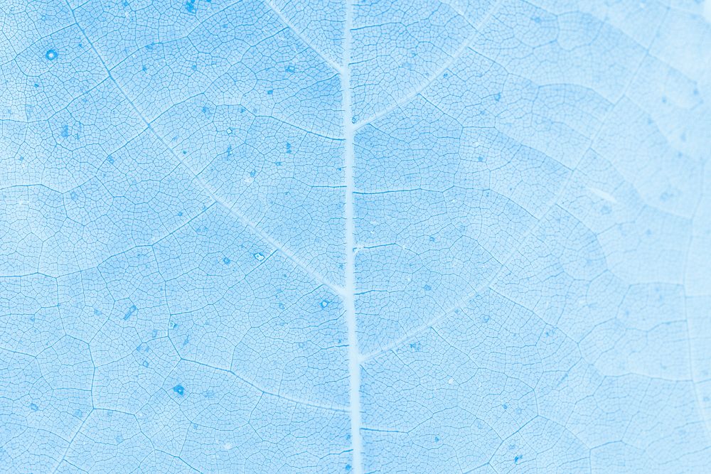 Leaf textured light blue background