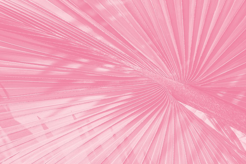Ballet slipper pink palm leaf textured background