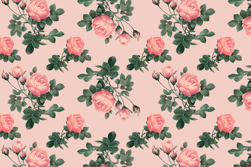 Pink English rose pattern on a crepe pink background