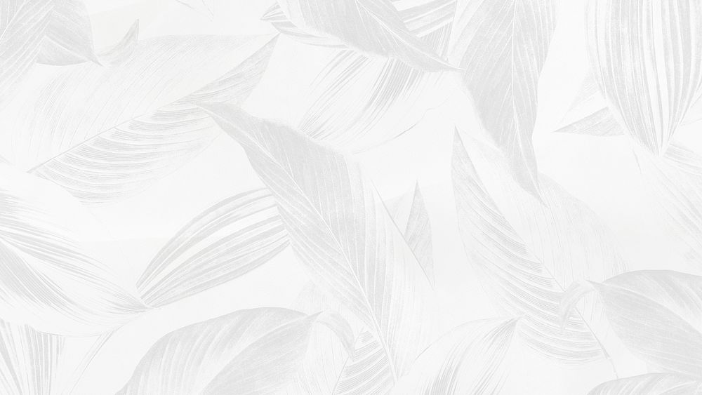 Tropical leaf pattern HD wallpaper, white background  