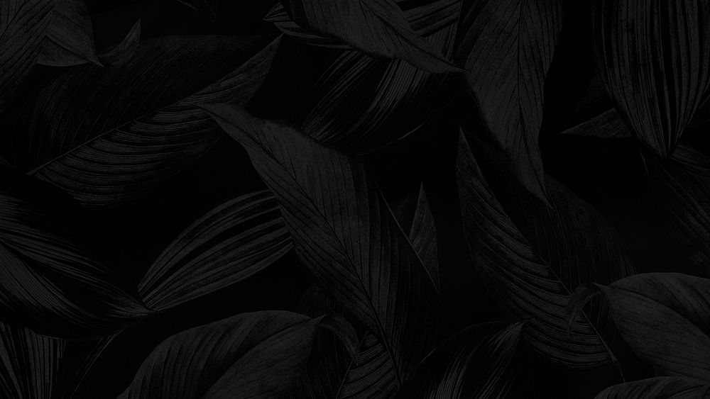 Black leaf HD wallpaper, botanical pattern background 