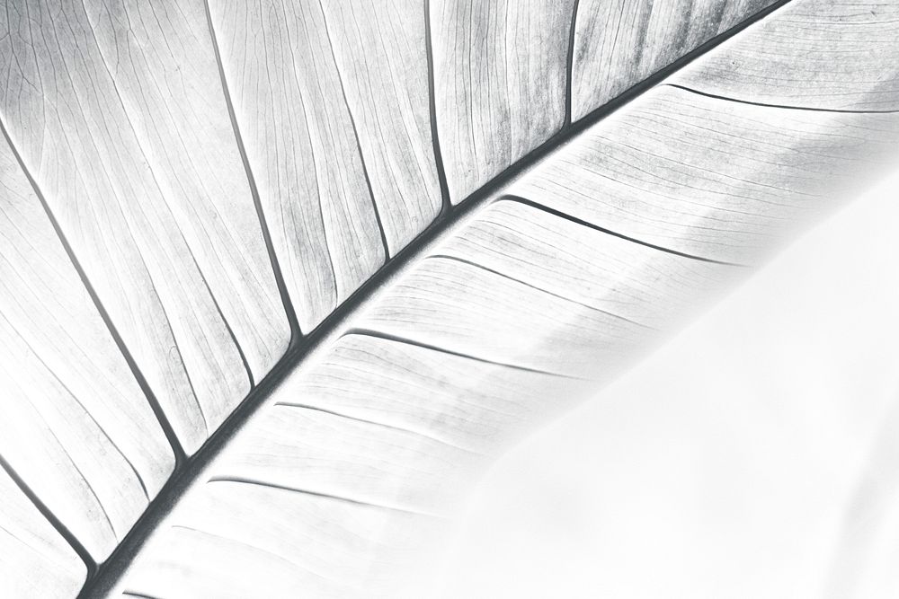 Abstract leaf textured background design