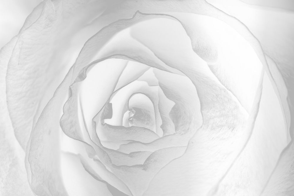 Abstract silver flower background design