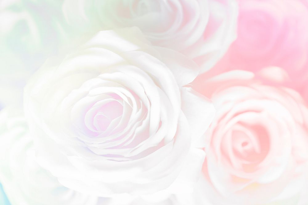 Pink rose patterned background