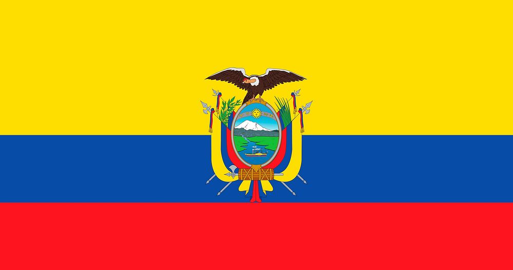 Ecuadorian flag pattern vector