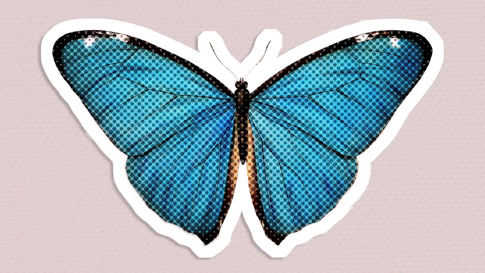 Halftone common blue butterfly sticker  with a white border
