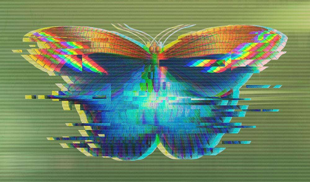 Butterfly glitch style design element 