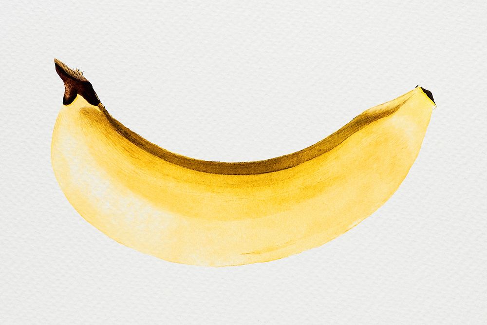 Hand colored banana design resource