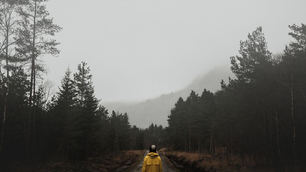 Rear view of a woman in a yellow windbreaker standing in a misty forest