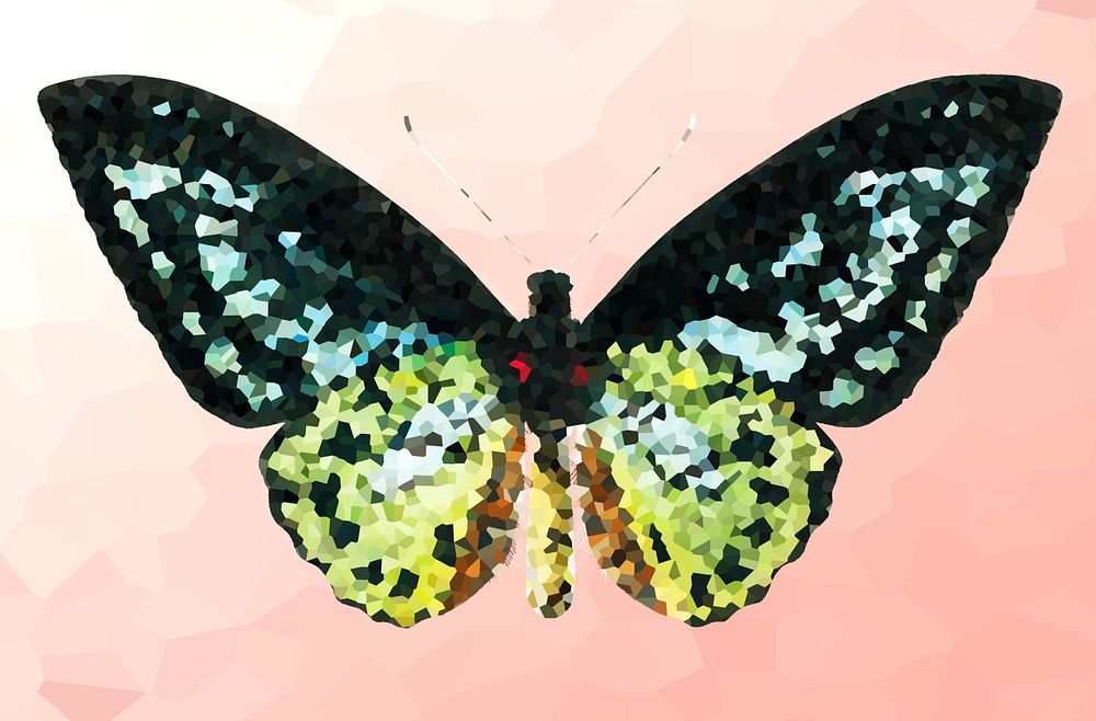 Crystallized green birdwing butterfly illustration