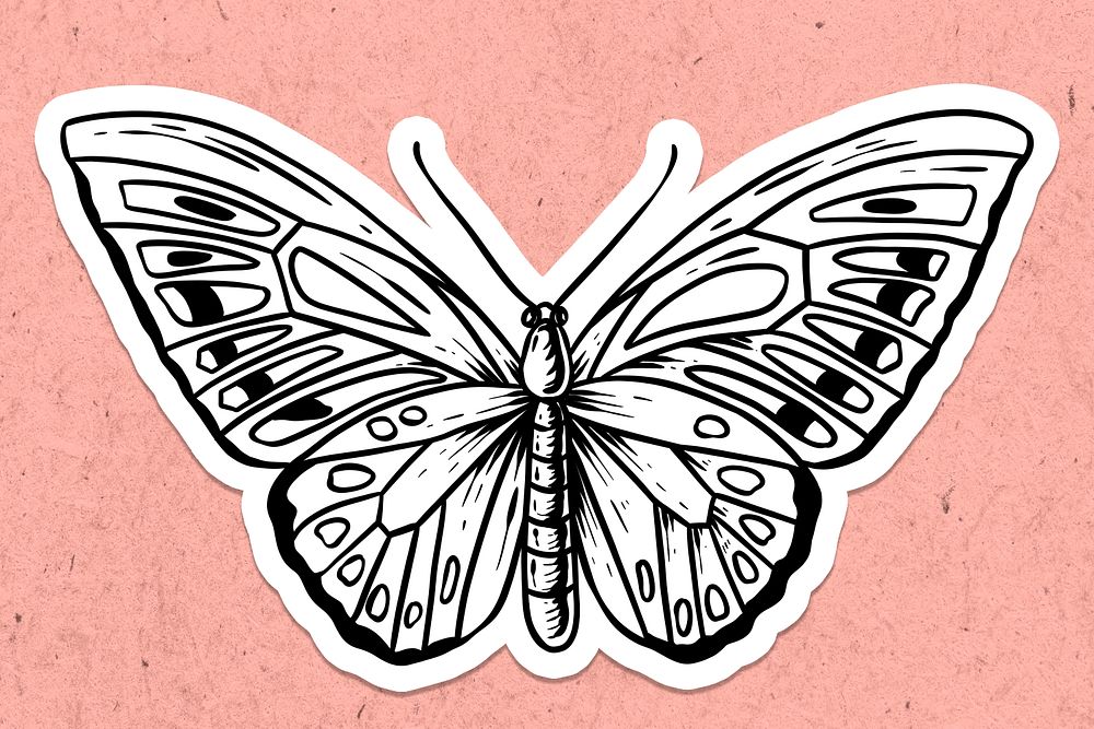 White butterfly sticker with a white border