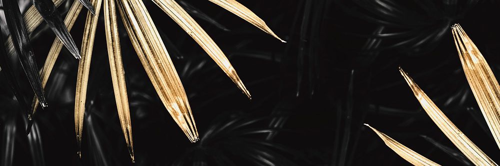 Golden palm leaves background design resource 