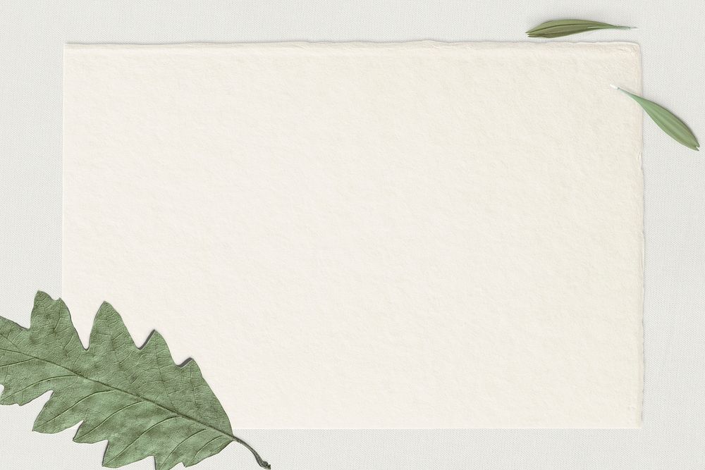 Dried leafy psd on paper card background