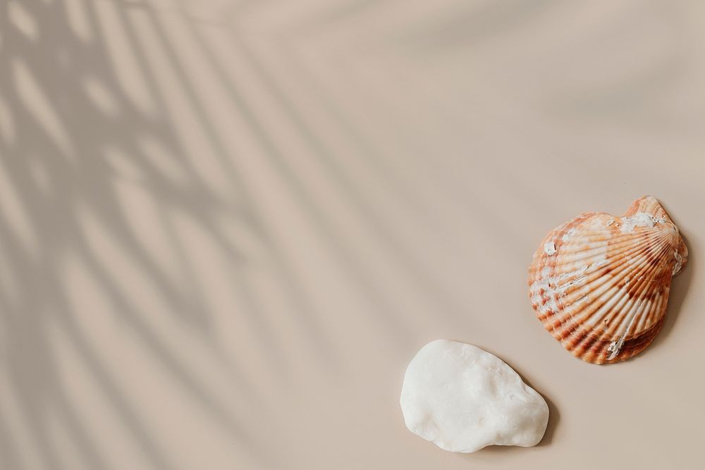 Natural seashell on beige background