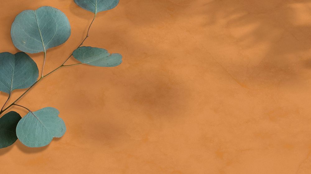 Eucalyptus frame on a brown background 