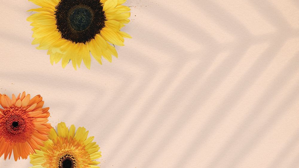 Natural sunflower on beige background