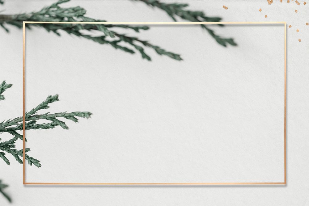 Gold frame psd pine branch off white background
