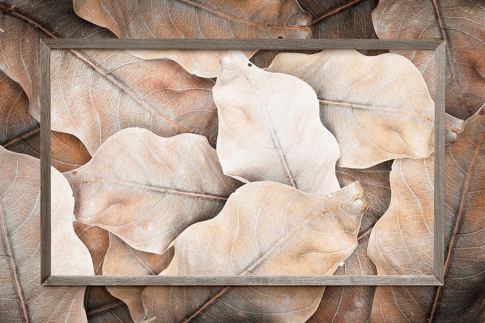 Natural botanical frame with dried leaves