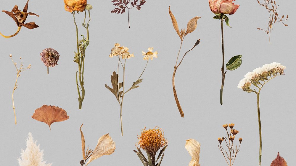 Dried flower and leaf patterned background
