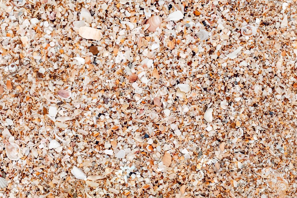 Rough beach sand textured background | Premium Vector - rawpixel