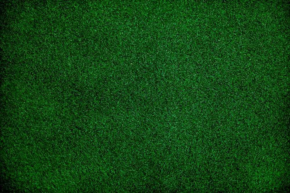 Green grass textured background vector