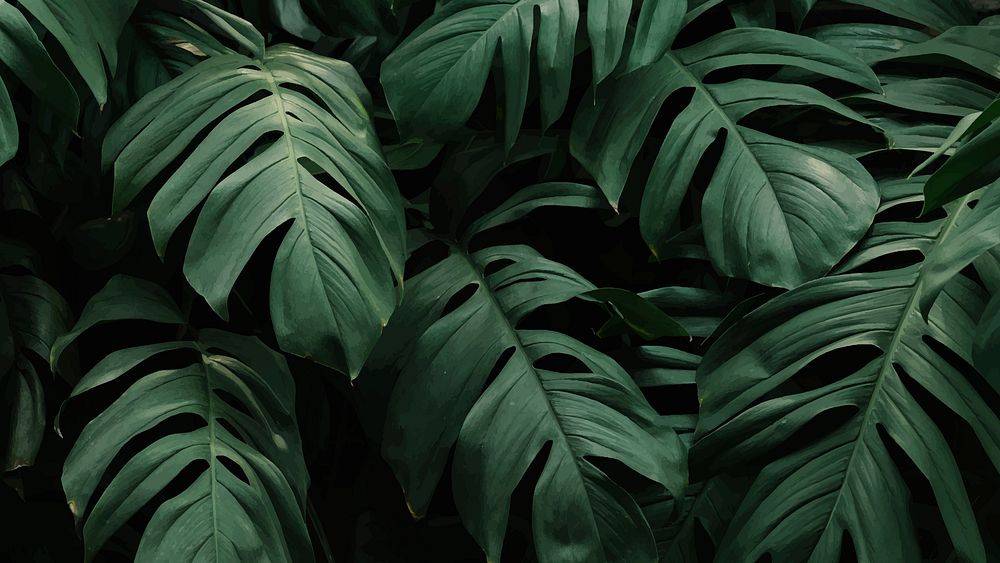 Green leaf desktop wallpaper, aesthetic botanical background