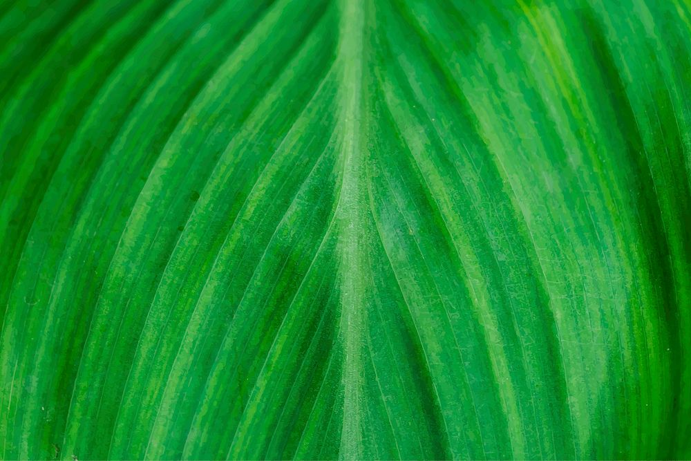 Green leaf patterned background vector