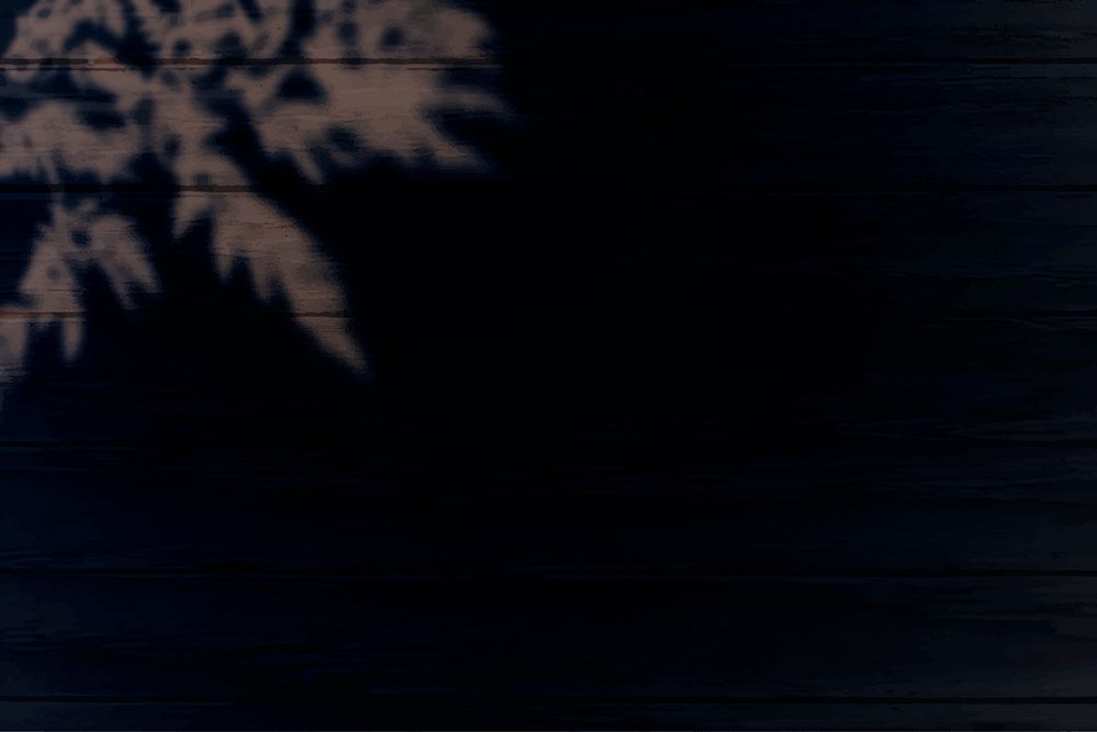 Leaf shadow on a black wooden background vector