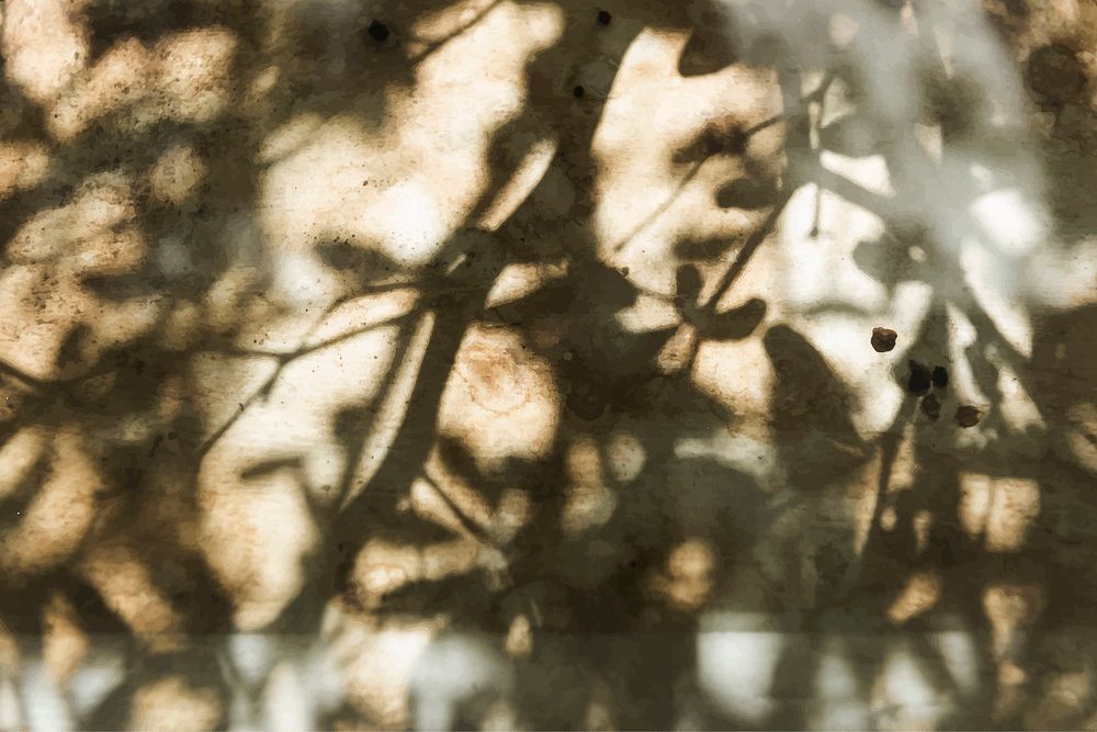 Tree branch shadow on a grunge wall vector