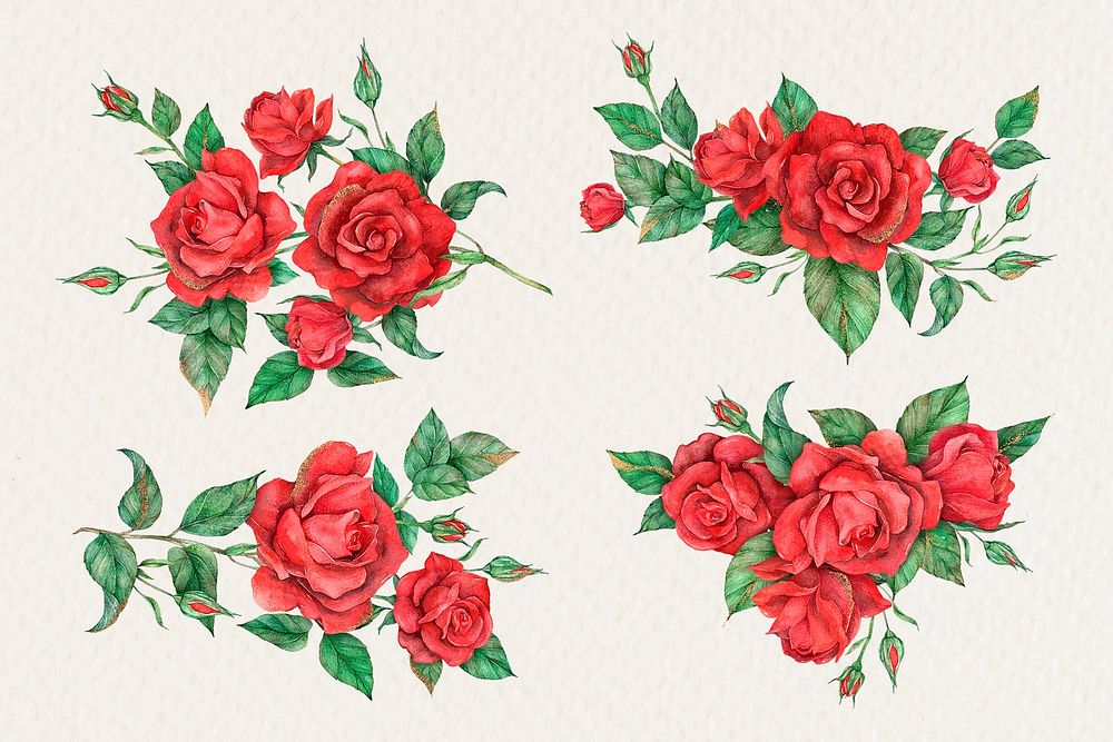 Hand drawn psd red rose flower set