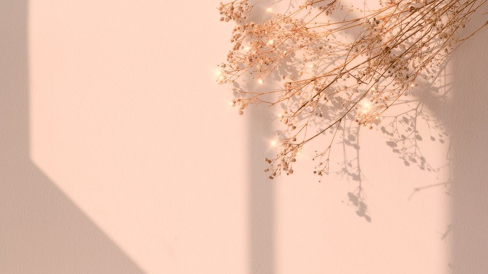 Aesthetic flower HD wallpaper, minimal beige background with window shadow