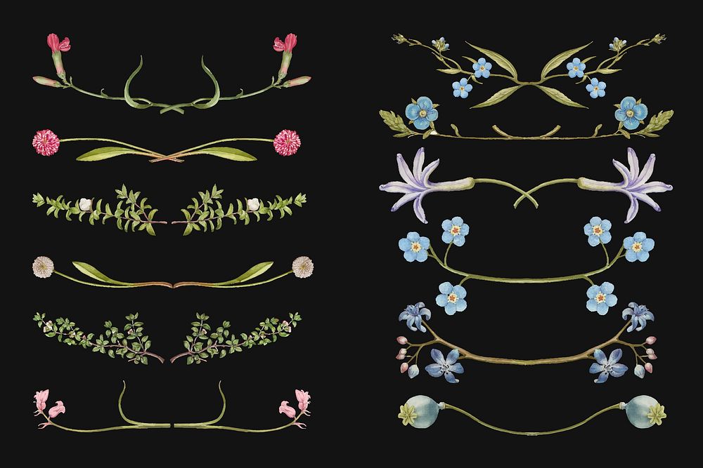 Colorful flower flourish divider vector design element set, remix from The Model Book of Calligraphy Joris Hoefnagel and…
