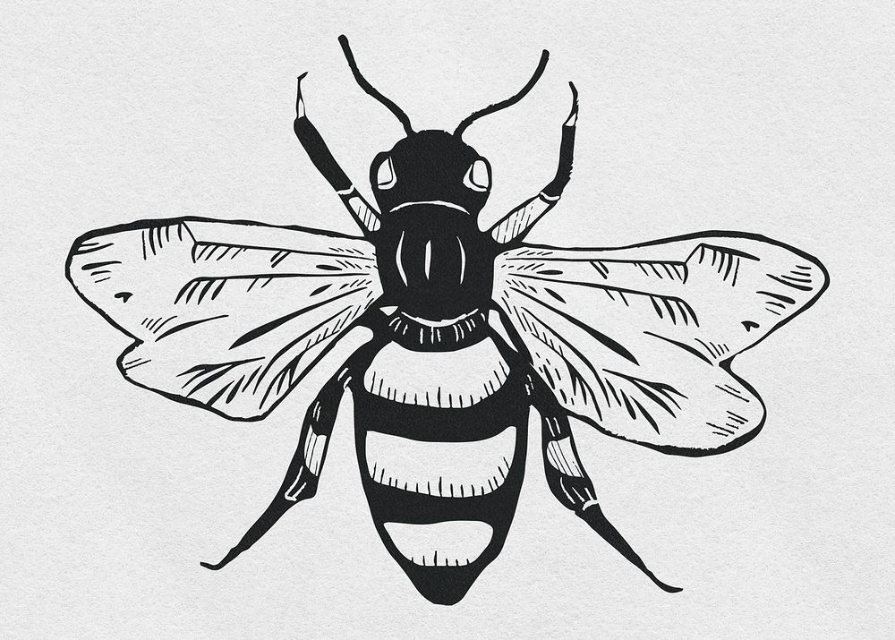 Vintage bee psd insect linocut stencil pattern clipart