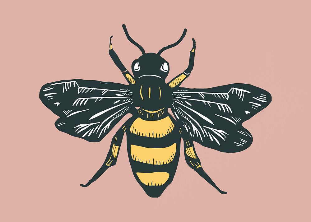 Vintage bee vector insect linocut drawing