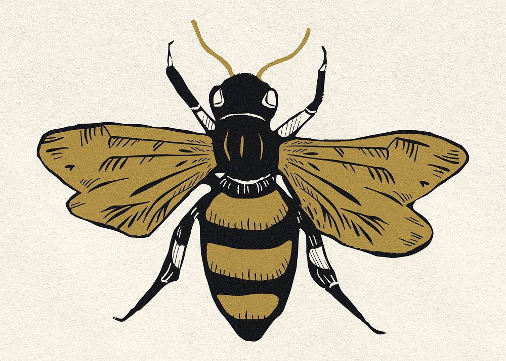 Gold bee psd insect vintage linocut clipart