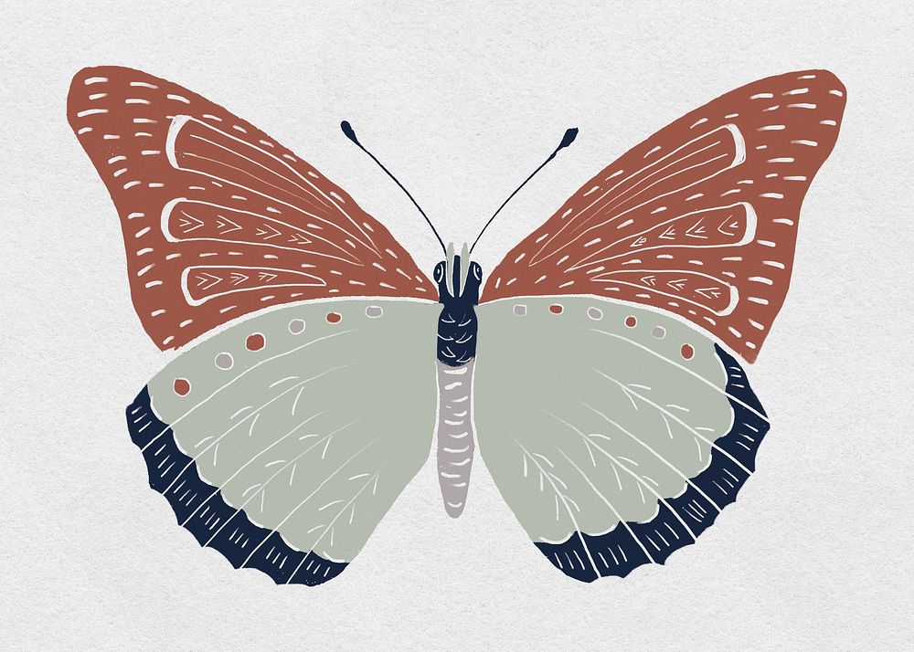 Vintage butterfly insect psd colorful stencil