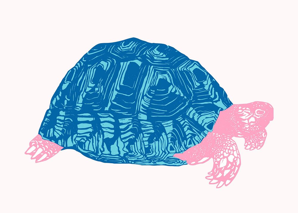 Vintage blue turtle reptile hand drawn