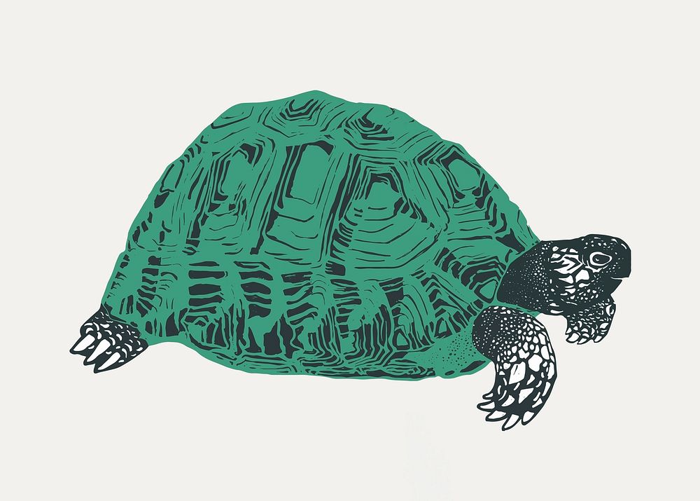 Retro green turtle stencil pattern hand drawn